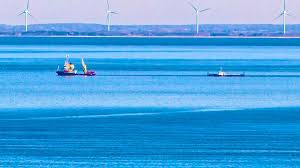 Heading for the North Sea: Transport ship with recovered whale now off Denmark | blue News