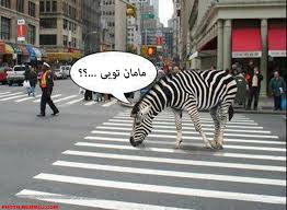Image result for ‫تصاویر خنده دار‬‎
