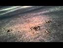 ar 2 0 drone video sun bathers