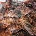 Derby puts 'a hurtin'' on invasive lionfish