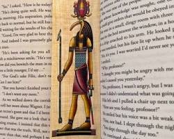 Image of meme that says Me trying to figure out how my property taxes went up when I didn't even add any rooms to my house