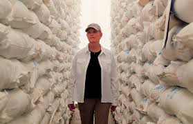 'Food security is national security,' McCain warns as WFP faces funding pressure