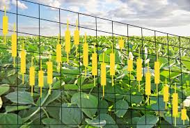 Successful Farming - News update