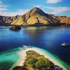 Image result for pulau komodo pasir pink