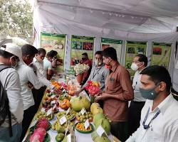 Image of Krishimela at University of Agricultural Sciences, Bangalore