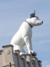 Image result for nipper albany
