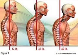 images?q=tbn:ANd9GcSz7iHLKp1VYt4_K_kB2qvJlD7qq3eHAVgHfFqrHwF_uTFMbq3NTA