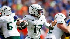 USF Bulls vs. Charlotte 49ers: Can Charlotte Upset the Odds? - Imagen principal del artículo