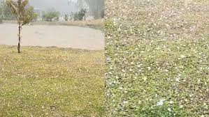 Temporal com granizo deixa rastro de destruição em propriedades rurais em SC