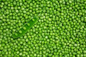 Resultado de imagen para imagenes de los sembrios de frias