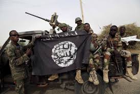 Image result for boko haram