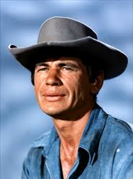Resultado de imagem para charles bronson