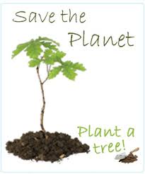 Image result for Tree plantation