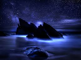 Image result for Beautiful Night Photography