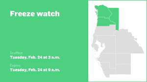 Cold Air Alert for Central West Florida