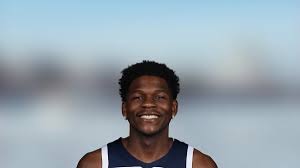 timberwolves Picture