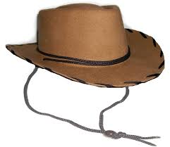 Image result for cowboy hats