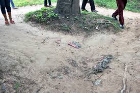 Image result for cambodia history killing fields