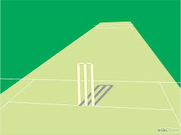 Resultado de imagen para PORTILLOS DE CRICKET