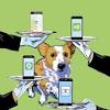 Story image for Best Pet Supplies Pet Bed Accessories For Sale from Bend Bulletin