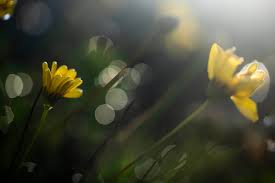 Where it’s suddenly going to feel like spring or summer this week