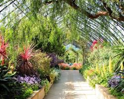 Image of botanical garden with a variety of flowers