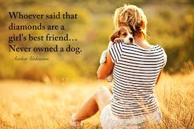 Best Dog Quotes. QuotesGram via Relatably.com