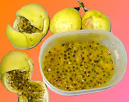 Image result for passion fruit