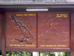 Image result for kinabalu park ranau