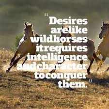 Quotes from Tasneem Hameed: Desires are like wild horses it ... via Relatably.com