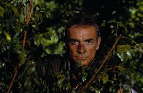 Netflix now has virtually every Bond film
