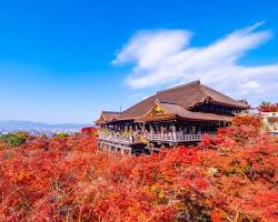 清水寺の画像