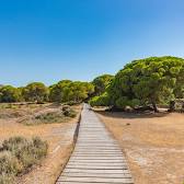 Parque Nacional de Doñana