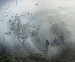 Image result for images of a whirlwind