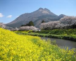 由布岳の画像