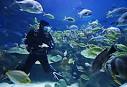 Cancun Scuba Diving Packages - Multi-Day Dive Packages