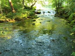 Image result for "Alley Spring"