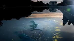 washington dc reflecting pool liner slit