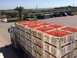 Trend Google: pomodoro