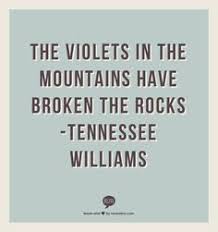 Tennessee Williams on Pinterest | Tennessee, Streetcar Named ... via Relatably.com