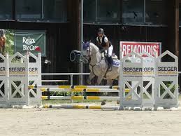reiten