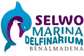 Resultado de imagen de selwo marina