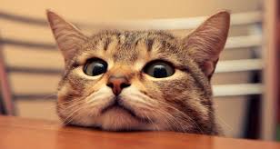 Агентство S&P подтвердило рейтинги России с "негативным" прогнозом - Цензор.НЕТ 3646