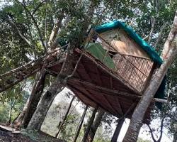 Image of Treehouse Stay, Kodaikanal