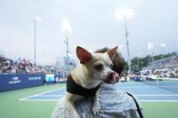 US Open Tennis