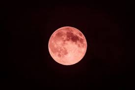 FOTOS: Así captaron la Luna rosa usuarios de redes sociales