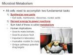 2 parts of metabolism <?=substr(md5('https://encrypted-tbn2.gstatic.com/images?q=tbn:ANd9GcT0IAXyqtiZ_l-frfmX05nQfl6V44DIy6IxYvoNe5CHMT7qD5t_GKRYn1DG'), 0, 7); ?>