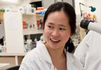 Yee Lian Chew2 thumb The discovery of a link between a specific gene and ageing in a species of worm could reveal valuable lessons for the treatment of ... - Yee-Lian-Chew2-thumb