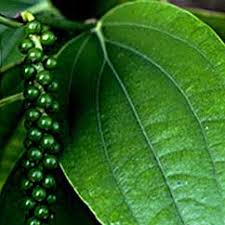Image result for black peppers