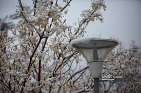 هواشناسی شهرکرد